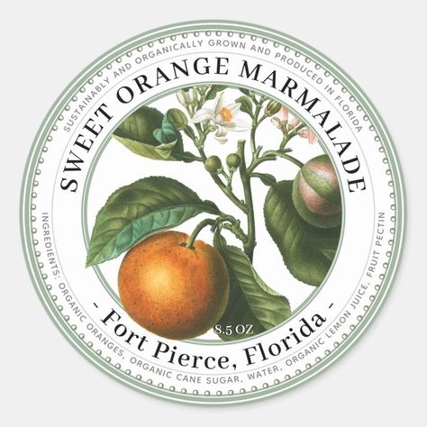 Jelly Label with Vintage Orange Illustration - Popular Zazzle Product! Best choice, tags :#invitations, #tshirt, #card, #InvitationsCard, #legging, #trending, #holiday Circle Label Design, Tea Label Design, Round Label Design, Vintage Packaging Design, Food Label Design, Label Design Ideas, Fruit Logo Design, Orange Illustration, Fruit Company