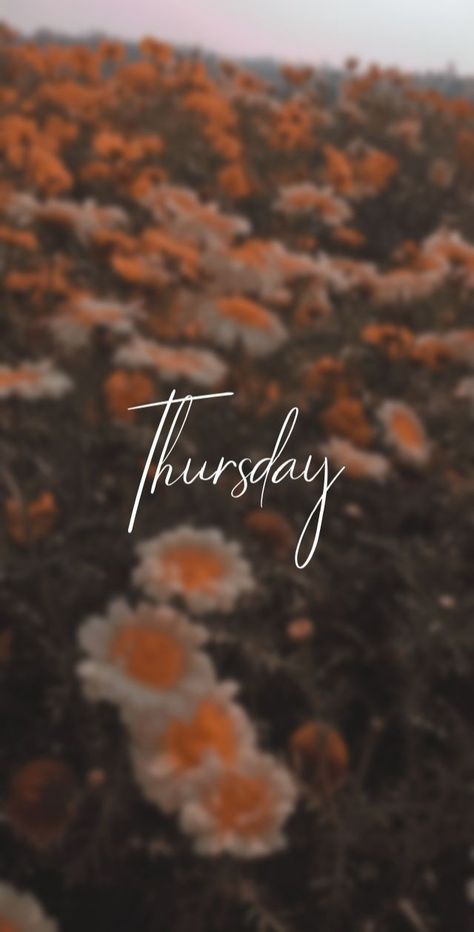 Thursday Wallpaper Aesthetic, Cartoon Pic, Thursday Quotes, Decor Color Palette, Instagram Feed Ideas Posts, Instagram Ideas Post, Cute Couple Wallpaper, Good Morning Picture, Instagram Feed Ideas