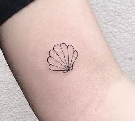 Shell Outline Tattoo, Minimal Shell Tattoo, Venus Shell Tattoo, Mini Shell Tattoo, Shell Tattoo Minimalist, Simple Shell Tattoo, Tiny Shell Tattoo, Scallop Tattoo, Simple Seashell Tattoo