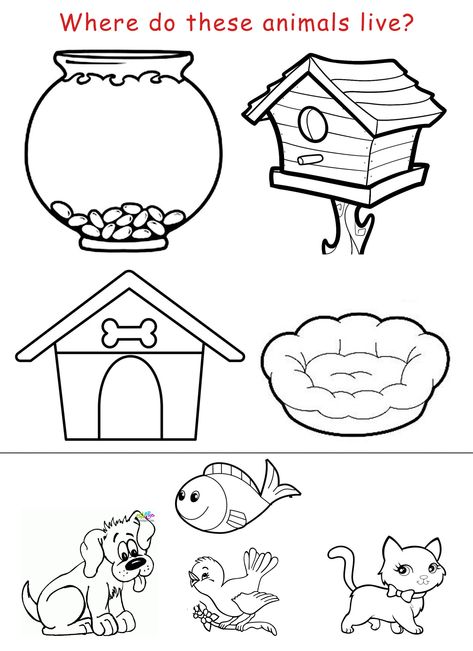 Copy a sheet for each student and tell them to color and cut the animalsand stick them on their proper housesesl worksheet kindergarten Animals House Worksheet, Home Pet Ideas, Pets And Their Homes Matching Activity, Pets Projects For Preschool, Worksheet On Animals For Kindergarten, Animals Home Worksheet, Pets Crafts For Preschoolers, Domestic Animals Activities, Animals Needs Worksheet