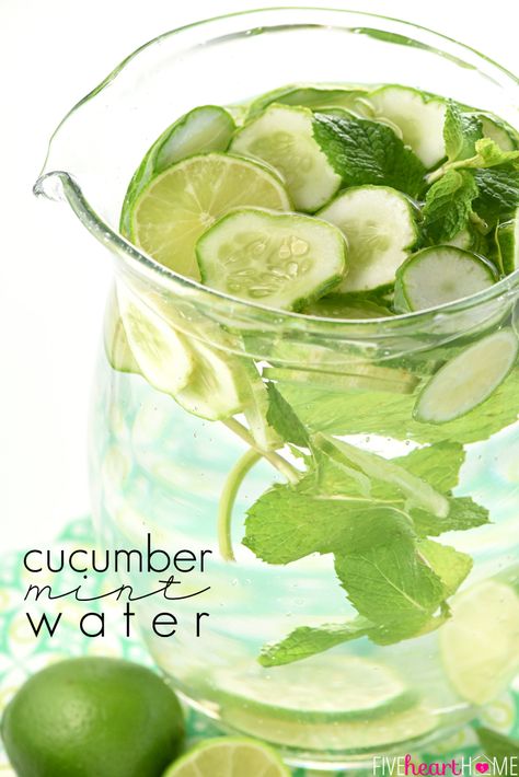 Cucumber Mint Infused Water {with or without lime} Cucumber Mint Water, Lime Infused Water, Mint Infused Water, Homemade Gatorade, Cucumber Infused Water, Fancy Water, Fruit Infused Water Recipes, Flavored Water Recipes, Lime Water