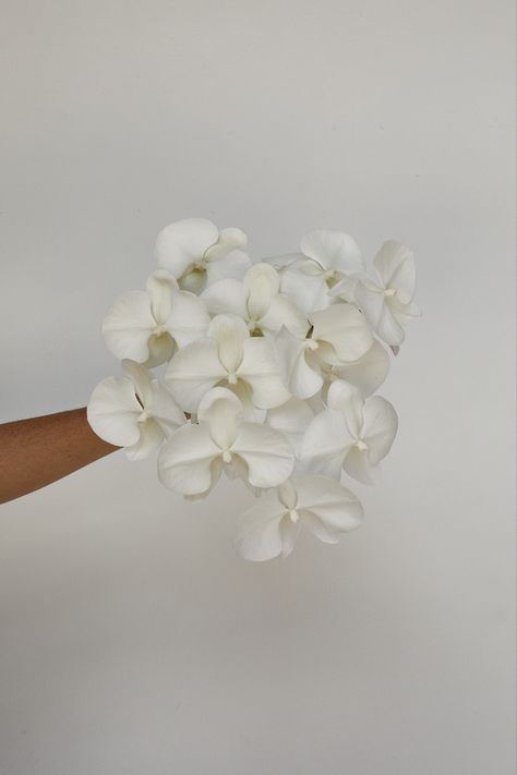 Orchid Bridal Bouquets, Modern Bridesmaid, White Bridesmaid, Beautiful Wedding Decorations, Flower Installation, White Bridal Bouquet, Sophisticated Wedding, White Wedding Flowers, Wedding Mood Board