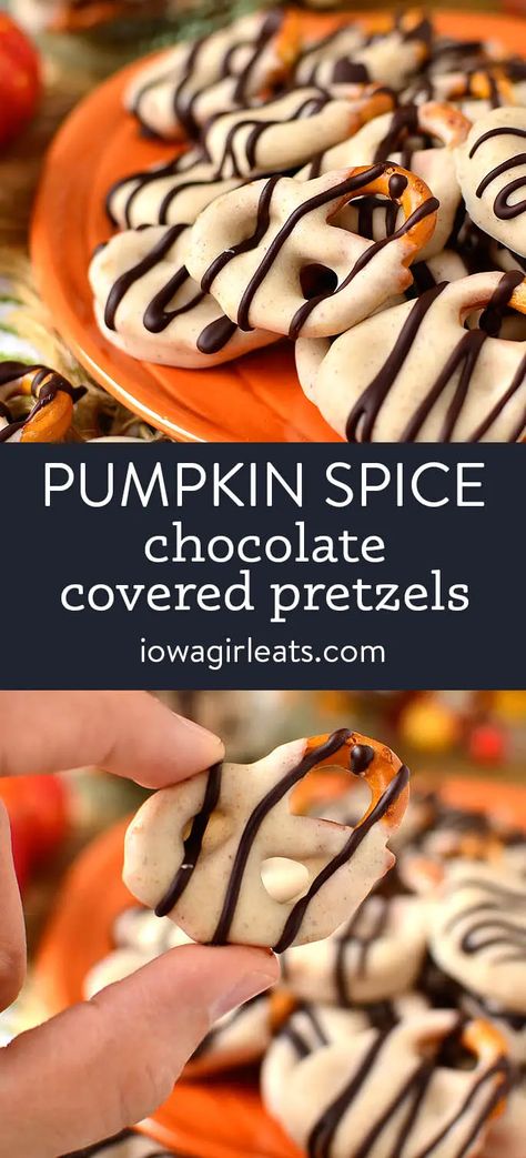 Easy Gluten Free Dessert, Spiced Pretzels, Pumpkin Spice Chocolate, Gluten Free Dessert, Delicious Dips Recipes, Easy Gluten Free Desserts, Pumpkin Spice Recipe, Spiced Chocolate, Salty Treats