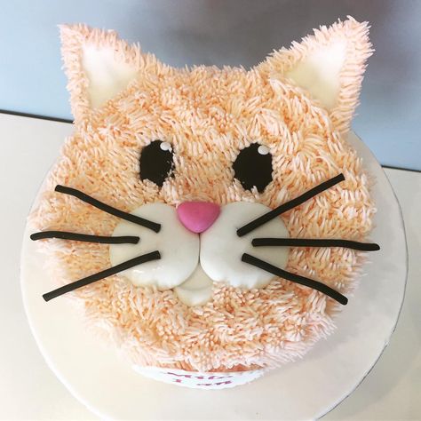 Nans Bakery (@nans_bakery) posted on Instagram • Feb 6, 2018 at 7:33pm UTC Cat Cake For Girls Birthday, Orange Cat Birthday Cake, Cat Inspired Cake, Kitty Cat Cakes For Kids, Easy Cat Cakes For Kids, Simple Cat Cake Ideas, Ginger Cat Cake, Cat Theme Cake Kid Birthdays, Cat Party Cake