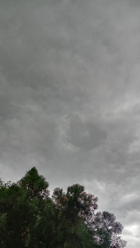 Nature.Tress.Clouds.Wallpaper hd .Rain Aesthetics.Hd photography.Trying to capture Rain Clouds Aesthetic, Rain Aesthetics, Hd Photography, Weather Cloud, Clouds Wallpaper, Rain And Thunder, Rain Wallpapers, Dark Nature, Clouds Photography