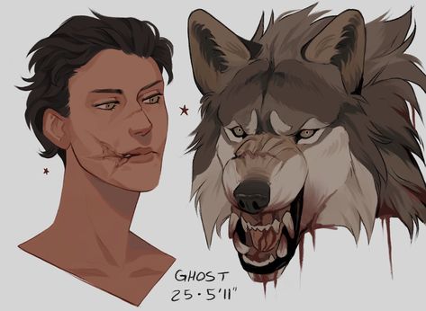 Werewolf Boyfriend, Sally Jackson, Werewolf Girl, Werewolf Aesthetic, Canine Drawing, Wolf Character, Werewolf Art, Critical Role Fan Art, Chinese Art Girl