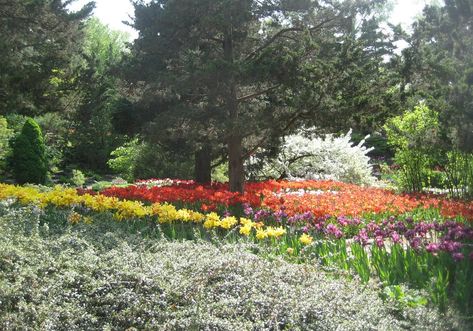 Royal Botanical Gardens - All You Need to Know BEFORE You Go (with Photos) Burlington Ontario, Botanical Gardens, Trip Advisor, Need To Know