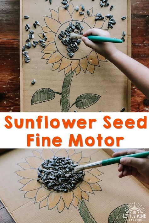 Sunflowers Activities For Preschool, Sunflowers Eyfs, Sunflower Activities, Summer Fine Motor Activities, Seed Activities For Kids, Plants Activities, Craft Calendar, Symmetry Activities, Sunflower Theme