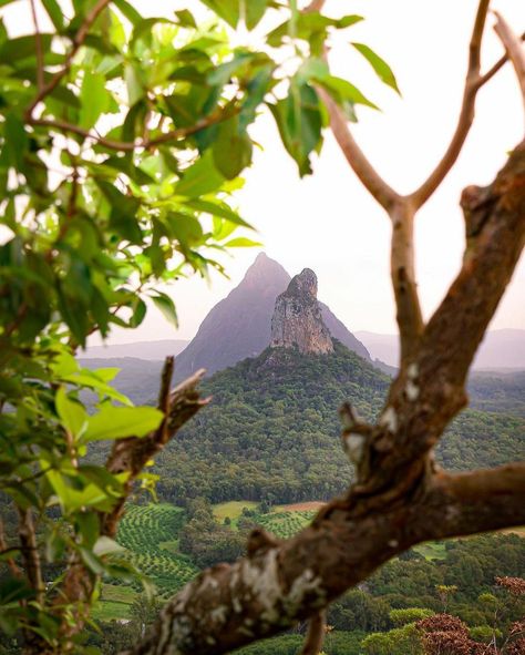 Glass House Mountains Queensland, Glasshouse Mountains Australia, Glasshouse Mountains, Get Back Up, Glass House, Australia Travel, Mount Rainier, Queensland, My Last