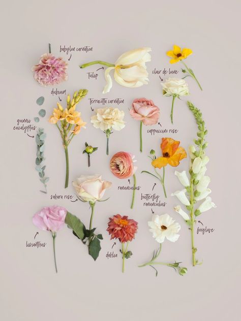 Spring pastel wedding bouquet breakdown | Blushing Rose Floral, Utah Wedding Florist Flower Guide, Flower Names, Garden Party Wedding, Pastel Wedding, Wildflower Wedding, Utah Wedding, Wedding Flower Arrangements, Utah Weddings, Blush Roses