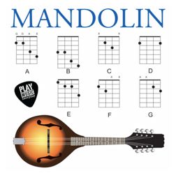 Learning Banjo, Learning Mandolin, Mandolin Chords, Mandolin Songs, Mandolin Lessons, Poster Guitar, Bass Notes, 2000 Music, Bass Guitar Chords