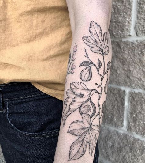 Vine And Fig Tree Tattoo, Fine Line Fig Tattoo, Fig Leaves Tattoo, Fig Plant Tattoo, Fig Branch Tattoo, Fig Leaf Tattoo, Fig Tree Tattoo, Fig Tattoo, Tattoo Leaves