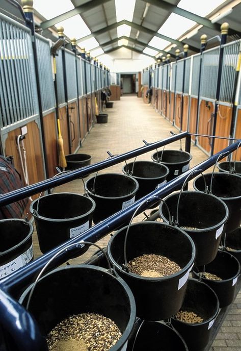 Horse Feed Room, Dream Barn Stables, Horse Tack Rooms, Horse Nutrition, Horse Farm Ideas, Diy Horse Barn, Horse Barn Ideas Stables, Horse Barn Designs, Horse Barn Plans