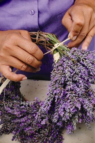 Couronne Diy, Lavender Crafts, Lavender Wreath, Lavender Farm, Lavender Plant, Lovely Lavender, Wreath Making, Deco Floral, Media Kit