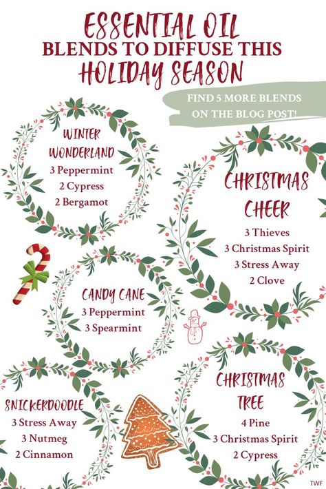 Essential oil blends for Christmas, holiday season diffuser blends, Young Living essential oils, Young Living Christmas, essential oil diffuser blends, Christmas tree smell, Snickerdoodle scent, Winter Wonderland, #essentialoils #youngliving #christmas #christmassmells #lifestyleblogger #oily #diffuserblends #christmasblends #holidayseason #winterwonderland #christmascheer #candycane #stressawayessentialoil #peppermintoil #thieves #theweekendfox Oil Blends To Diffuse, Diffuser Blends Young Living, Christmas Diffuser Blends, Essential Oil Combinations, Essential Oil Diffuser Blends Recipes, Young Living Essential Oils Recipes, Essential Oil Diffuser Recipes, Oil Diffuser Recipes, Yl Essential Oils