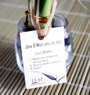 diy+lucky+bamboo+wedding+favors | Of course, this favor sure is simple enough that I could make it ... Tropical Wedding Favor, Bamboo Wedding, Tree Favors, Flowering Bonsai Tree, Bonsai Care, Ninjago Party, Indoor Bonsai Tree, Seed Kit, Event Favors