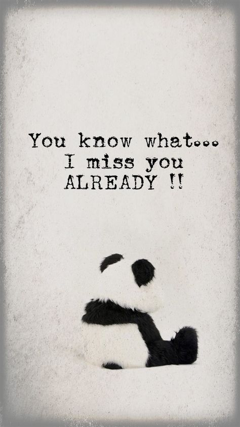 Already Missing You, Missing You Already, I Miss You Already, Miss You Already Quotes, Miss U Quotes, I Already Miss You, Miss You Friend, Miss You Already, Hidden Treasure