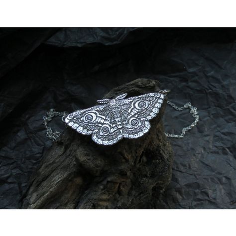 Silver Moth Necklace (5.790 RUB) ❤ liked on Polyvore featuring jewelry, necklaces, silver butterfly necklace, silver choker necklace, adjustable necklace, choker necklace and butterfly choker necklace Emperor Moth, Moth Pendant, Moth Necklace, Butterfly Choker, Necklaces Silver, Princess Necklace, Silver Choker Necklace, Silver Choker, Silver Butterfly