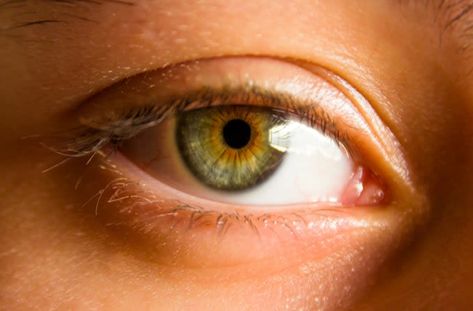 Eye Color Facts, Hazel Green Eyes, Change Your Eye Color, Hazel Color, Beautiful Eyes Color, Light Blue Eyes, Eye Pictures, Dark Brown Eyes, Aesthetic Eyes