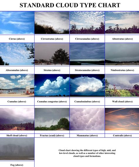 cloud types... I believe the are forgetting the new Asperatus Clouds! Clouds Worksheet, Clouds Types, Types Of Clouds, Weather Forecasting, Type Chart, Cloud Type, Weather Science, Weather Cloud, Weather And Climate