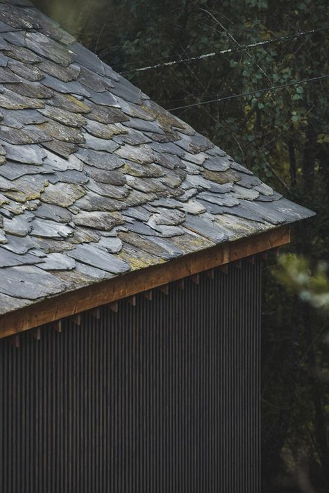 Tree Interior, A Well Traveled Woman, Modular Housing, Small Swimming Pools, Chestnut Trees, Unusual Homes, Architectural Section, Slate Roof, Trondheim