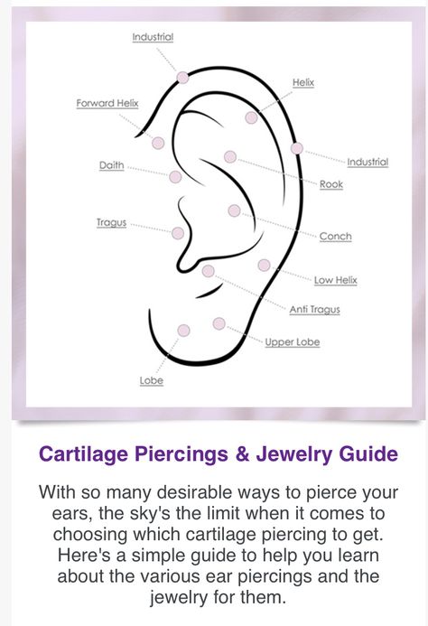 Orbital Piercing Ideas, Conch Piercing Ideas, Perfect Ears, Piercing Ideas For Women, Pretty Piercings, Orbital Piercing, Simple Necklace Designs, Anti Tragus, Tragus Conch