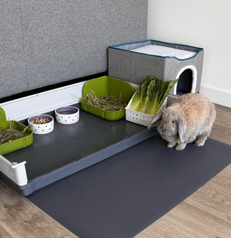 Henlo, frens! How's your Sunday? Here's this cute bunny chillin calmly in her squeaky clean corner with a full stash of snacks! Definitely livin' the life! #rabbitsofinstagram #rabbitlove #bunniesrock #bunnylife #luftpets Ny Life, Cute Bunny, Guinea Pigs, Pet Care, Small Pets, Animal Lover, Shop Now