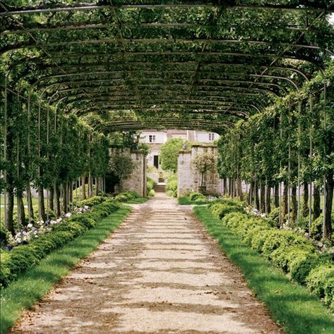 Bunny Mellon, Pergola Design, Crabapple Tree, Garden Vines, Garden Entrance, Backyard Pergola, Focal Points, Trondheim, Gorgeous Gardens