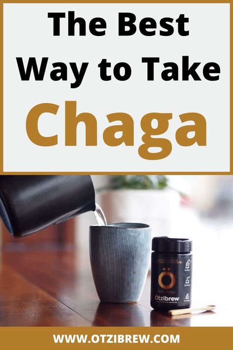 Chaga Mushroom Recipes, Chaga Tea Recipes, Mushroom Information, Mushroom Health Benefits, Chaga Mushroom Tea, Benefits Of Mushrooms, Hep C, Chaga Tea, Medicinal Weeds