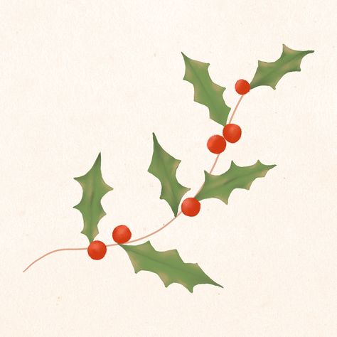 Holly Illustration Christmas, Christmas Holly Illustration, Simple Christmas Illustration, Holly Doodle, Holly Drawing, Cake Ads, Mistletoe Drawing, Holly Clipart, Holly Illustration