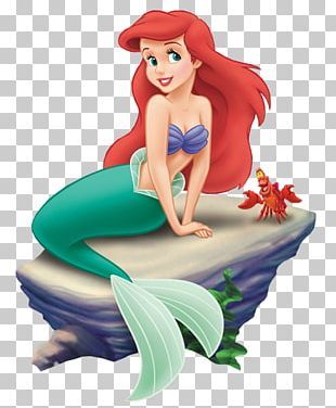 Ariel Cartoon, Ariel Sebastian, Princesa Ariel Disney, Disney Princess Png, Little Mermaid Characters, Disney Png, Mermaid Cartoon, Disney Princess Cartoons, Rapunzel Disney