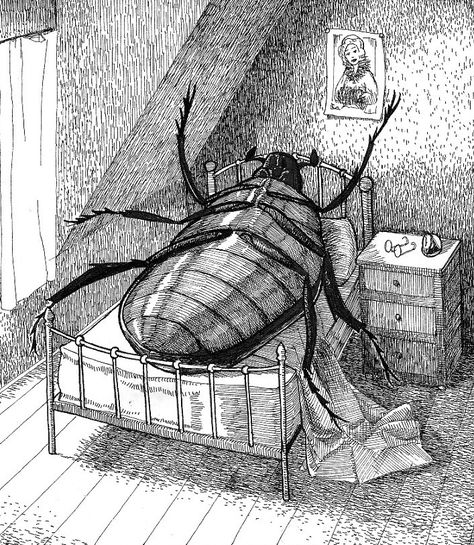 Metamorphosis Book, Gregor Samsa, Metamorphosis Art, Dung Beetle, Literature Humor, Franz Kafka, Classic Literature, Drawing Reference, Art Inspo