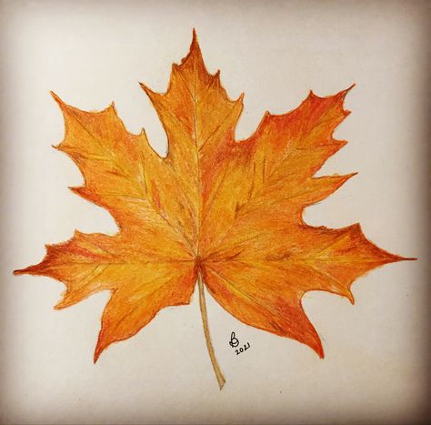 Drawing Ideas Colour Pencil Beginner, Autumn Sketches Pencil, Maple Leaves Drawing, Autumn Leaf Drawing, Maple Leaf Drawing, Fall Leaves Drawing, Pencil Sketches Easy, Color Pencil Sketch, Fall Drawings