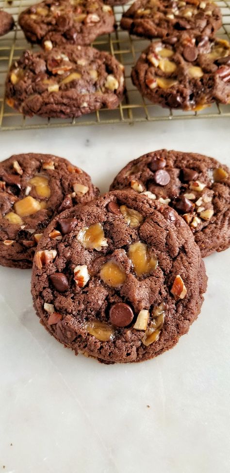 Turtles Cookies Recipe, Brownie Turtle Cookies, Triple Chocolate Turtle Cookies, Turtle Brownie Cookies, Chocolate Turtle Cookies Recipe, Turtle Pecan Cookies, Mounds Cookies Recipe, Double Chocolate Turtle Cookies, Sea Turtle Cookies