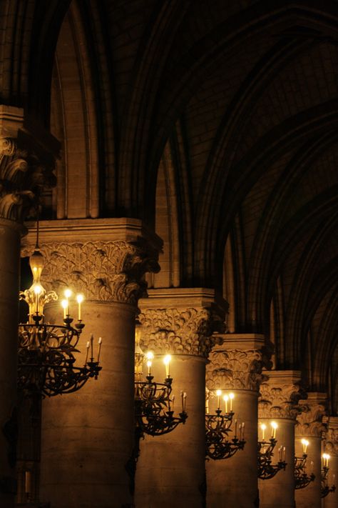 Notre-Dame I Love Paris, Dark Academia Aesthetic, Gothic Architecture, Favorite City, City Lights, 그림 그리기, Dark Aesthetic, Beauty And The Beast, In The Dark