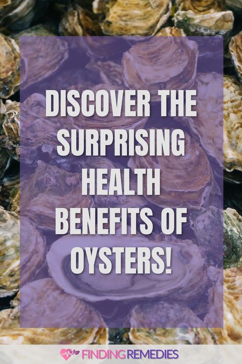 Discover the Surprising Health Benefits of Oysters! Oysters Benefits, Oyster Benefits, Eating Oysters, Shellfish Allergy, Cooked Oysters, Smoked Oysters, Good Sources Of Calcium, Fruit Health Benefits, Raw Oysters