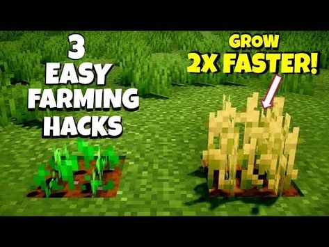 ☀️SPEED UP YOUR FARMING! BEST Farming Tricks for FASTER GROWTH | How to Farm FAST in Minecraft - YouTube Big Minecraft Farm, Farm In Minecraft, How To Farm, Crop Farming, Minecraft Farm, Pocket Edition, Minecraft 1, Fast Growing, Windows 10