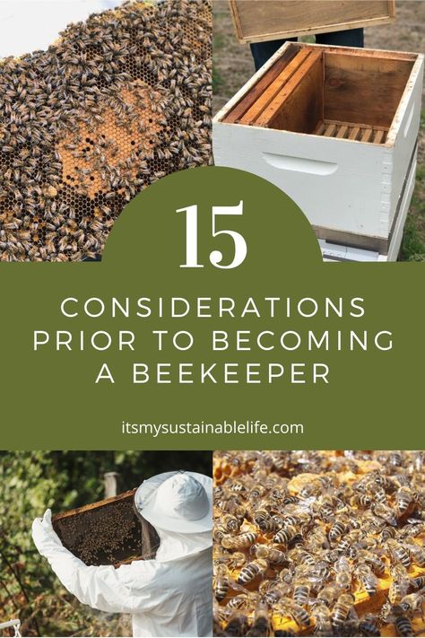 Beekeeping.  With the rapid decline of bee populations, many are jumping into the world of keeping bees. Before making the commitment to become a beekeeper, ponder these 15 important considerations. | It's My Sustainable Life @itsmysustainablelife #beekeeping #beekeepingforbeginners #beekeepingforbeginnersbackyards #beekeepingforbeginnersdiy #beekeepingforbeginnersbehive #apiary #apiarybeekeeping #itsmysustainablelife Starting Bee Keeping, Apiary Beekeeping, How To Start Beekeeping, Simple Homestead, Honey Bees Keeping, How To Become A Bee Keeper, Langstroth Hive, Keeping Bees, Homestead Blog