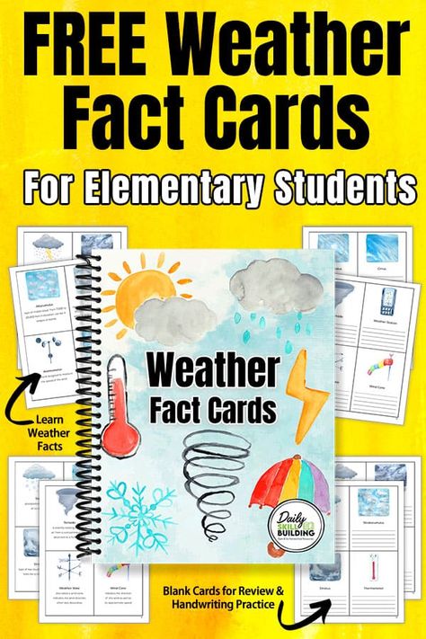 Weather Elementary, Weather Science Activities, Weather Unit Study, Weather For Kids, Vocab Activities, Weather Lessons, Weather Vocabulary, Weather Cards, Unit Studies Homeschool