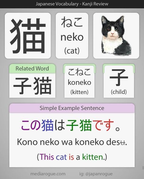 Cat In Japanese, Learn Japan, Language Journal, Bahasa Jepun, Materi Bahasa Jepang, Mandarin Chinese Learning, Japanese Writing, Japanese Language Lessons, Basic Japanese Words