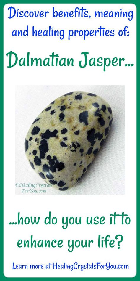 Dalmatian Stone Meaning, Dalmation Crystal Meaning, Dalmation Jasper Crystal Meaning, Dalmation Jasper Meaning, Dalmation Stone, Dalmatian Jasper Crystal Meaning, Dalmatian Jasper Meaning, Stone Therapy, Dalmation Crystal