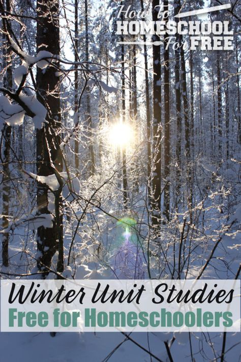 Winter Unit Study, Winter Stem Activities, Homeschool Nature Study, Unit Studies Homeschool, How To Homeschool, Winter Unit, Homeschool Board, Studying Library, Outdoor Education