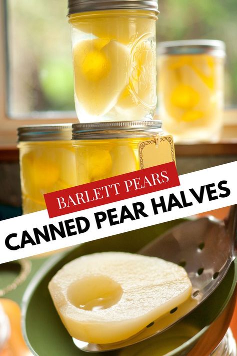 Preserved Pears, Pear Recipes Breakfast, Pear Dessert Recipes, Canning Pears, Half And Half Recipes, Canned Pears, Canning Process, Pear Dessert, Canning Tips