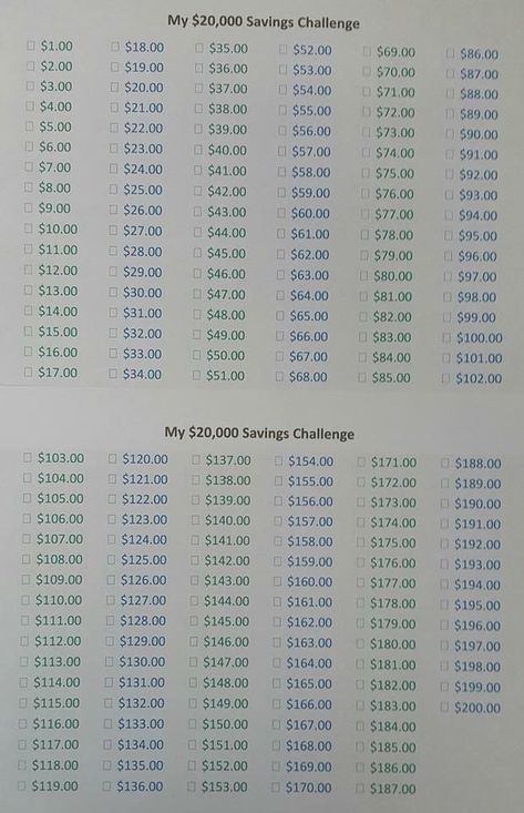 20,000 Savings Challenge 20k Savings Plan, 20k Challenge, Saving Plans, Money Challenges, Adulting 101, Debt Freedom, Saving Plan, Savings Challenges, Money Savings