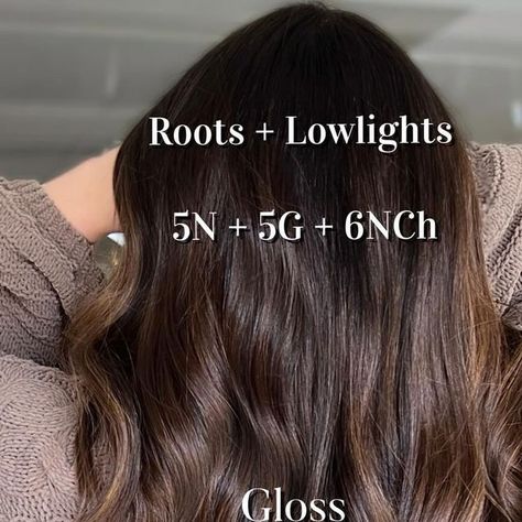 Elaine Cavada | ILLINOIS |BALAYAGE | BRUNETTE LOVER on Instagram: "Brown Sugar Formula  @redken Shades Eq Roots + Depth 5N + 5G + 6NCh  Gloss 7NCh + 7P + 6NB  #chicagobalayage #darkbalayage #wheatonhairstylist #brunettehighlights #illinoishair #illinoiscolorist #darkbalayage #chicagohaircolorist #brunettespecialist #brunettehairinspo #redkenshadeseqgloss #dimensionalbrunette #balayagechicago #midwesthairstylist" 5n Hair Color With Highlights, Redken 5n Shades Eq, Chestnut Brown Hair Shades Eq, Chocolate Brown Redken Shades Eq, 6nch Redken, Redken Hair Color Formulas Brown, Brown Balayage Formula, Brunette Color Formulas, Light Chocolate Brown Hair Balayage