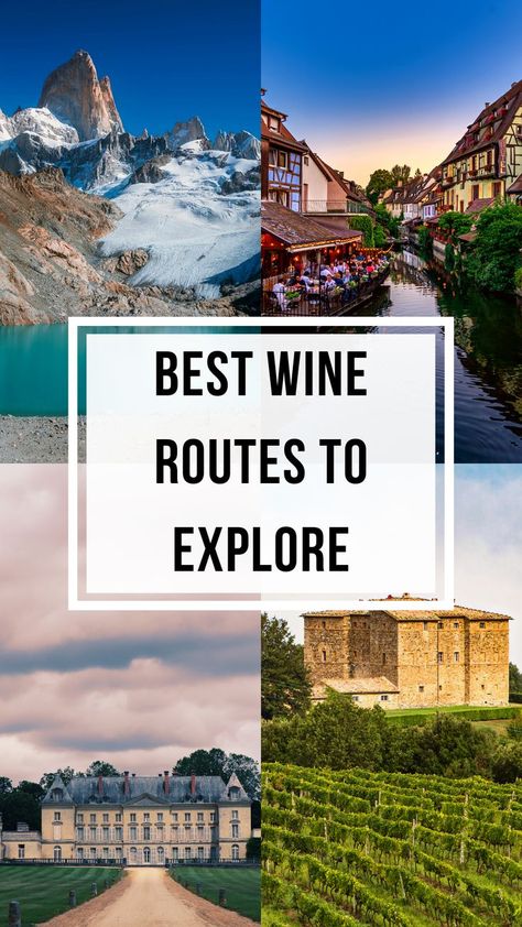 Blog: Best Wine Routes To Explore Wine Tourism, Wine White, Best Wine, Wine Travel, World Trip, Wine Region, Wine Lover, Wine Cooler, Travel Inspo