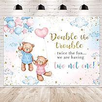 Bear Gender Reveal Decorations, Twin Baby Shower Decorations, Photography Banner, Bear Gender Reveal, Shower Background, Baby Shower Background, Gender Reveal Decorations, Shower Decorations, Gender Reveal