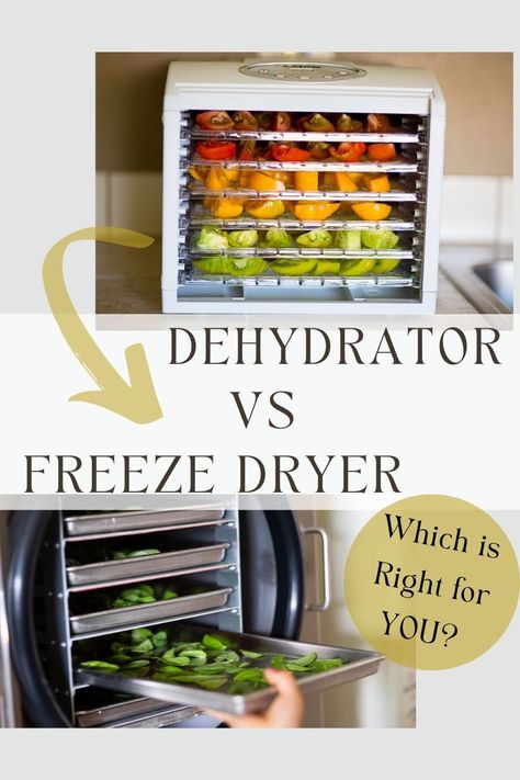 colorful tomatoes in a dehydrator and a freeze dryer with basil Dehydrate Vs Freeze Dry, Can You Dehydrate Candy, Freeze Dried Machine, Best Dehydrator Machine, Freeze Dry Machine, Home Freeze Drying, Freeze Drier Machine, How To Freeze Dry At Home, How To Freeze Dry