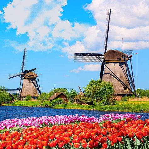 Day Trips From Amsterdam, South Holland, Dutch Windmills, Spring Landscape, Unesco World Heritage Site, Unesco World Heritage, Of Wallpaper, Day Tours, Heritage Site