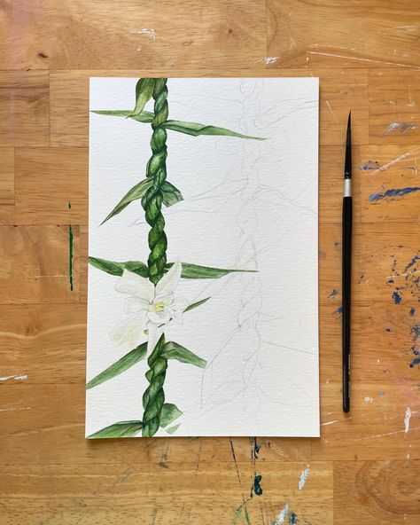 One down, one to go! Painting ti leaf lei is so much fun! #tileaf #tileaflei #watercolorlei #tileafandorchidlei #kauaiart #kauaiwatercolor #hawaiiwatercolor Ti Leaf Lei, Ti Leaf, First Down, Kauai, Art Inspo, Lei, Flowers, Quick Saves, Art